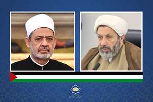 حمایت قاطعانه رئیس سازمان فرهنگ و ارتباطات اسلامی از رئیس دانشگاه الازهر 